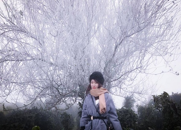 Thiếu nữ huyền ảo trong băng tuyết đỉnh Tà Xùa